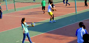 网络短信免费版